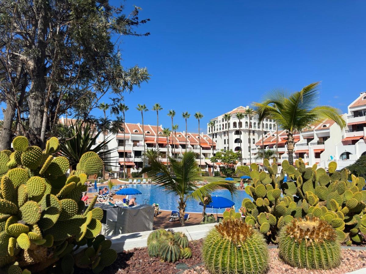Parque Santiago II , Renovated, Ocean View, Heated Swimming Pool ! Apartment Playa de las Americas  Exterior photo